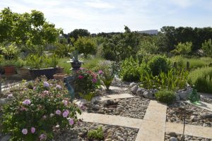 Het kruidentuintje van B&B Villa Lavanda op het platteland van Puglia