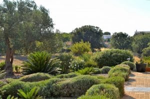 Natuur en rust en een groot deel van Puglia te zien vanuit B&B Villa Lavanda