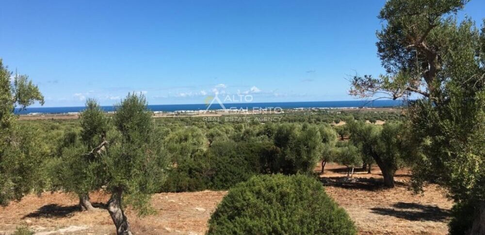 Huis nr. 18 te koop in Puglia Villa met zwembad Carovigno