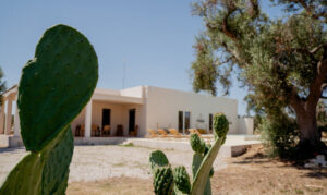 Te koop villa met zwembad Ostuni de voorkant