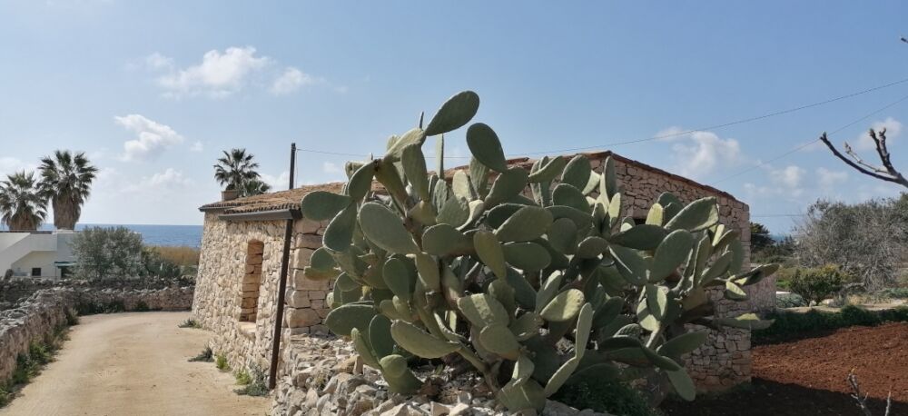 Huis nr. 38 te koop in Puglia een stenen villa Torre Vado