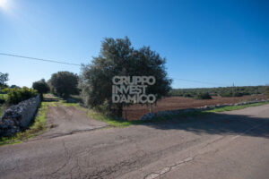 Te restaureren stenen boerderij te koop Puglia. Grote ruimtes en land