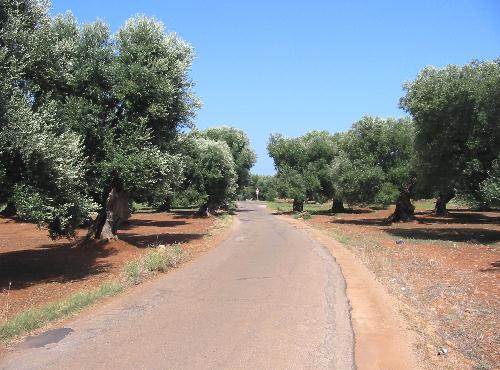 Huis nr. 3 te koop in Puglia een villa bij Serranova