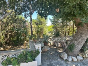 te koop in Ostuni villa in groene omgeving