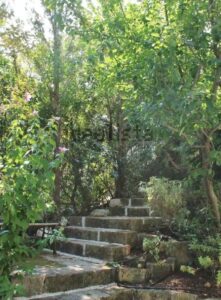 Een heel bijzondere tuin ook bij deze te koop staande villa in Puglia