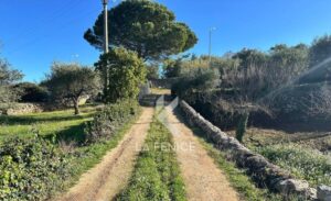 trulli te koop in Puglia de weg ernaar toe