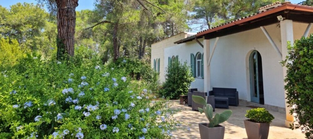 Huis nr. 11 te koop in Puglia villa in het bos