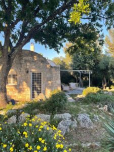 Stenen lamia te koop in Puglia