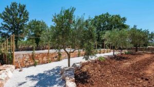 Wonen in Puglia met huizenprijzen die stukken lager zijn dan in Nederland