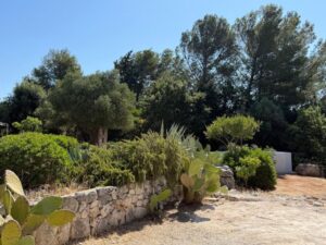 Te koop in Ceglie Messapica