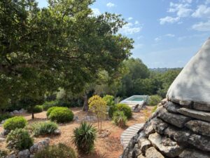 Het zwembad en de trullo Puglia