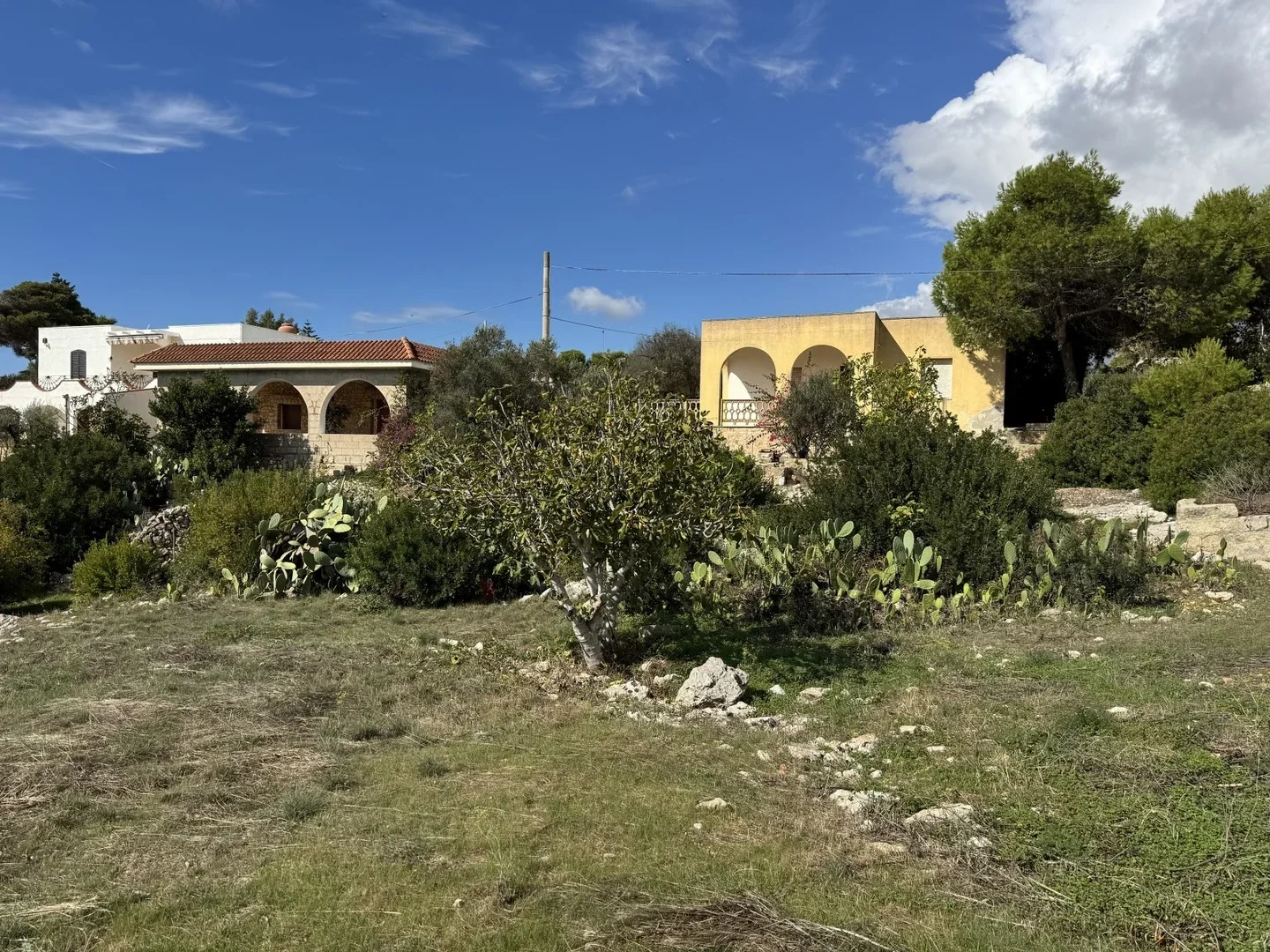 Je eigen paradijsje kopen in Puglia, dicht bij zee en met een schitterend uitzicht