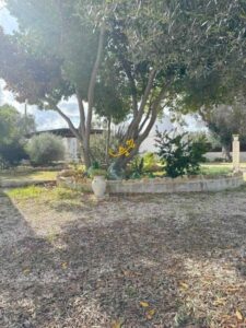 Een minder gehaast leen iin Puglia