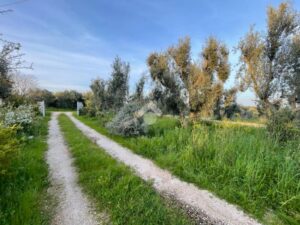 Terug naar de natuur met een huis in Puglia