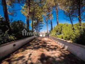 te koop in Puglia de oprijlaan