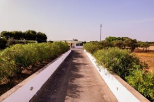 Huis te koop Puglia