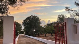 Trullo te koop Ostuni