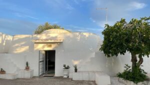 Ostuni trullo te koop met vijgenboom voor de deur